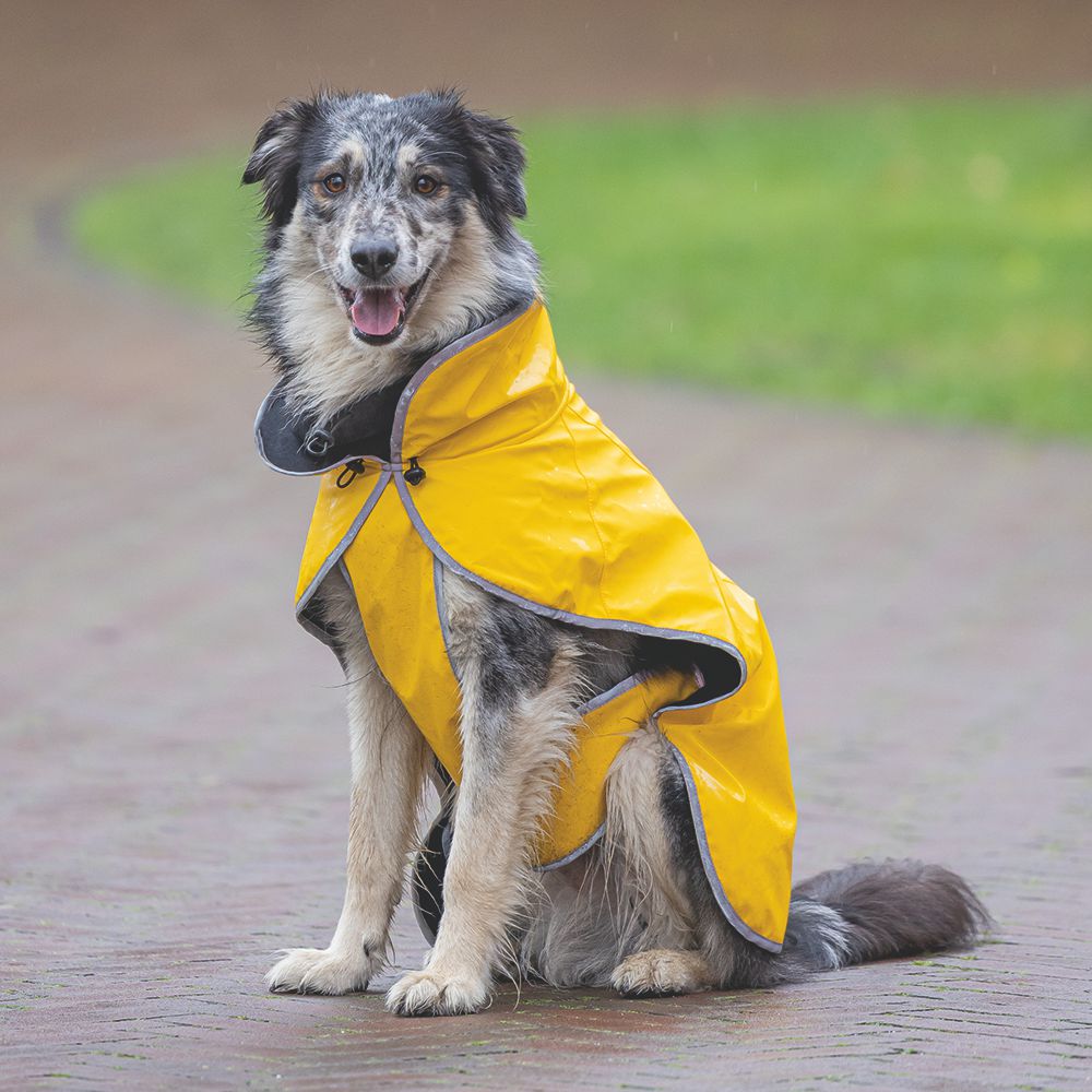 Beeztees Regenmantel CARO - gelb - Hundejacke Hundepullover Hundemantel