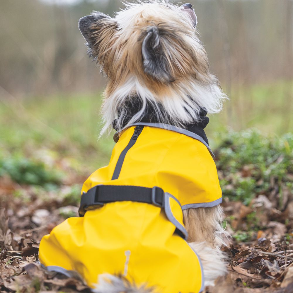 Beeztees Regenmantel CARO - gelb - Hundejacke Hundepullover Hundemantel