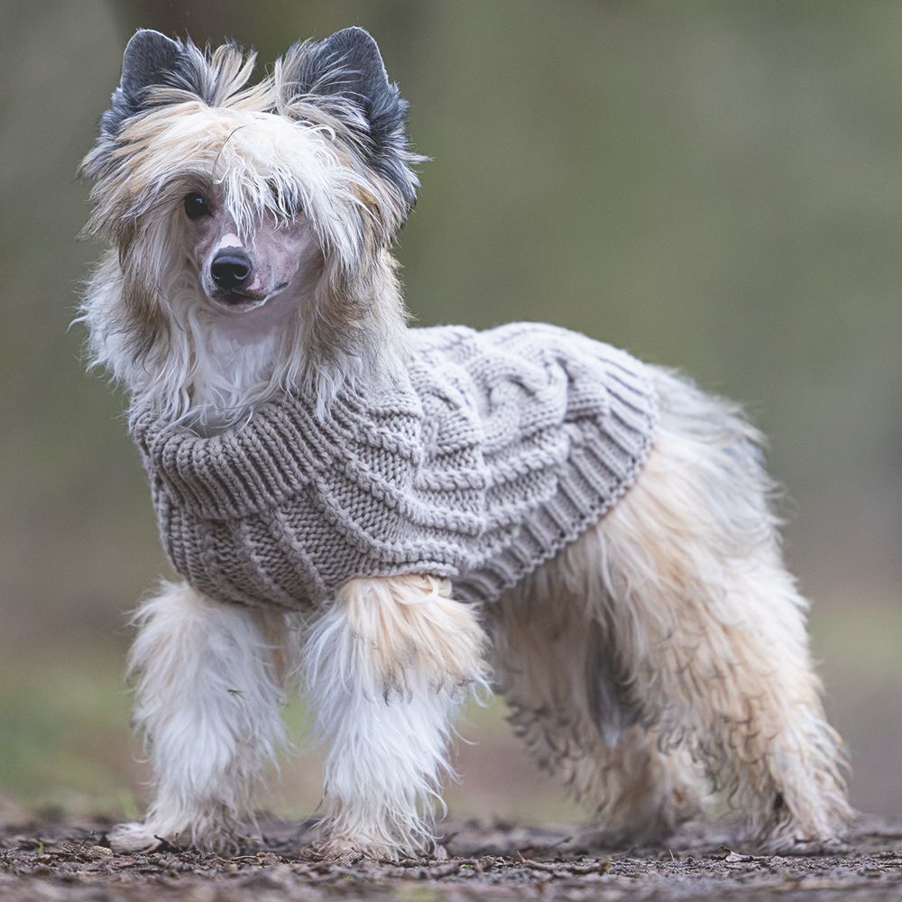 Designed by Lotte Hundepullover HAIDA - beige Hundejacke Hundemantel Sweater