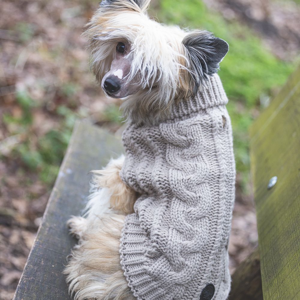 Designed by Lotte Hundepullover HAIDA - beige Hundejacke Hundemantel Sweater