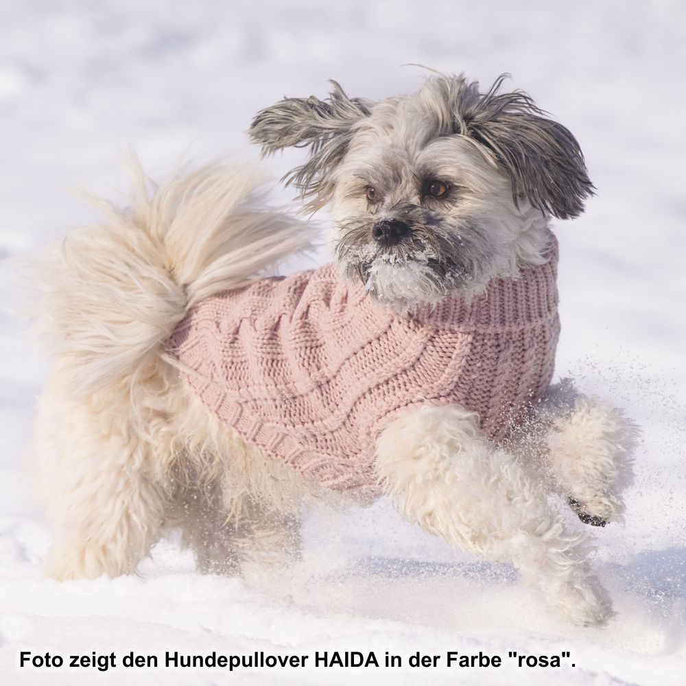 Designed by Lotte Hundepullover HAIDA - beige Hundejacke Hundemantel Sweater