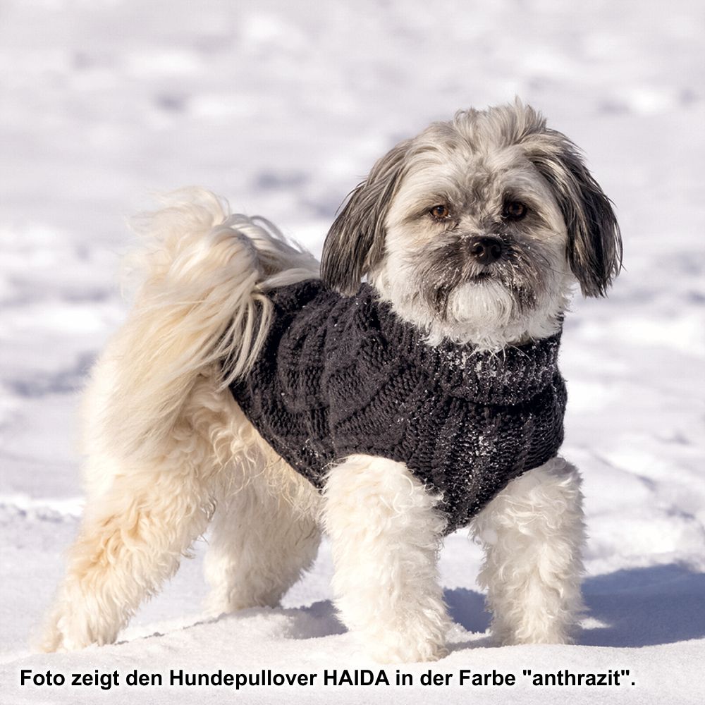 Designed by Lotte Hundepullover HAIDA - beige Hundejacke Hundemantel Sweater