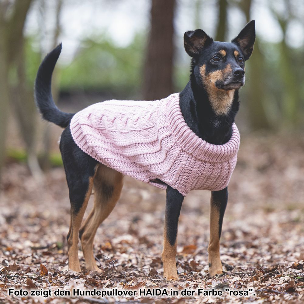 Designed by Lotte Hundepullover HAIDA - beige Hundejacke Hundemantel Sweater