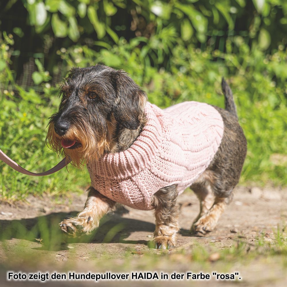 Designed by Lotte Hundepullover HAIDA - beige Hundejacke Hundemantel Sweater