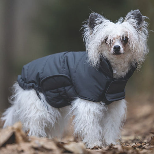 Designed by Lotte Hundemantel ZHANTI - grau Hundejacke Hundepullover Regenmantel