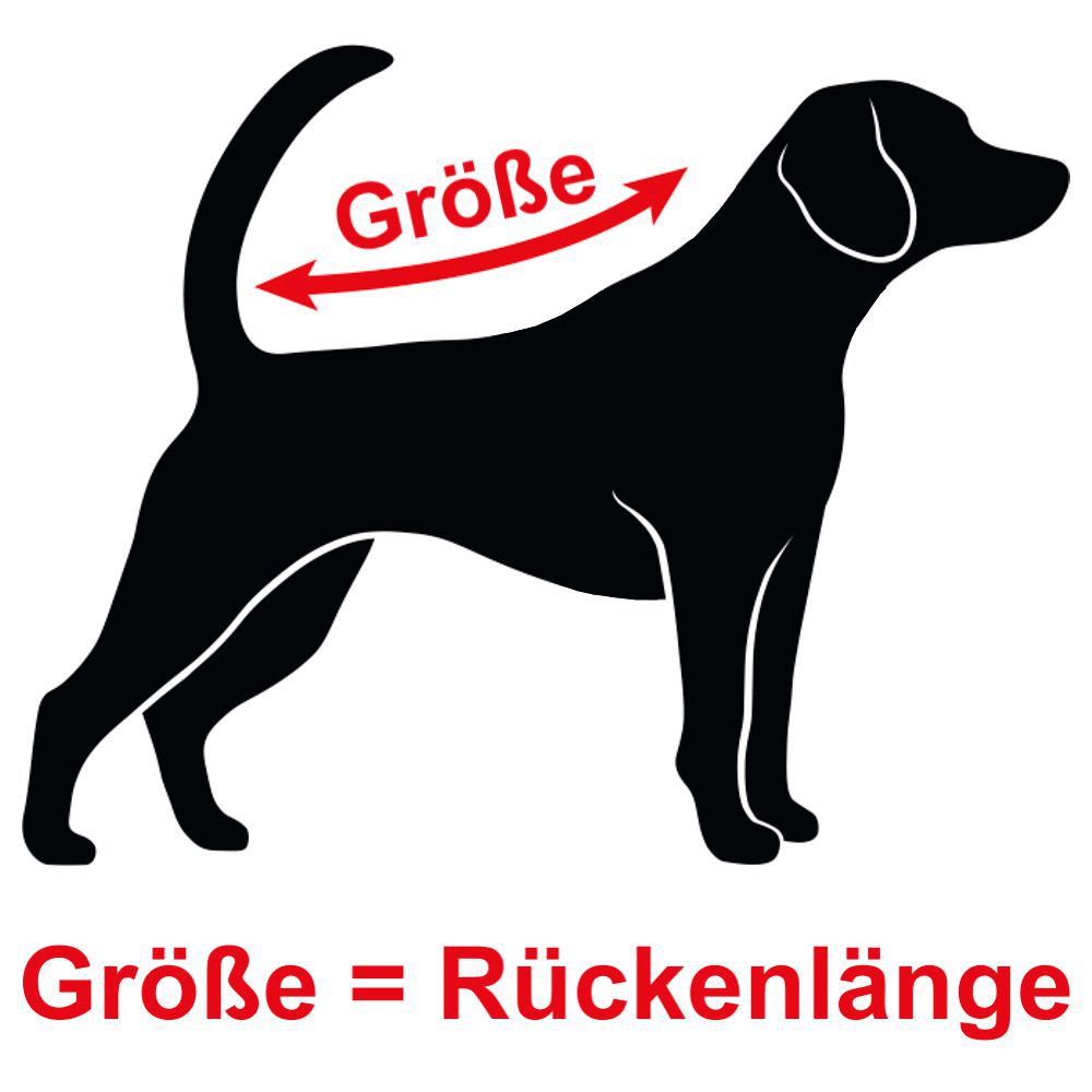 Designed by Lotte Hundemantel ZHANTI - grau Hundejacke Hundepullover Regenmantel