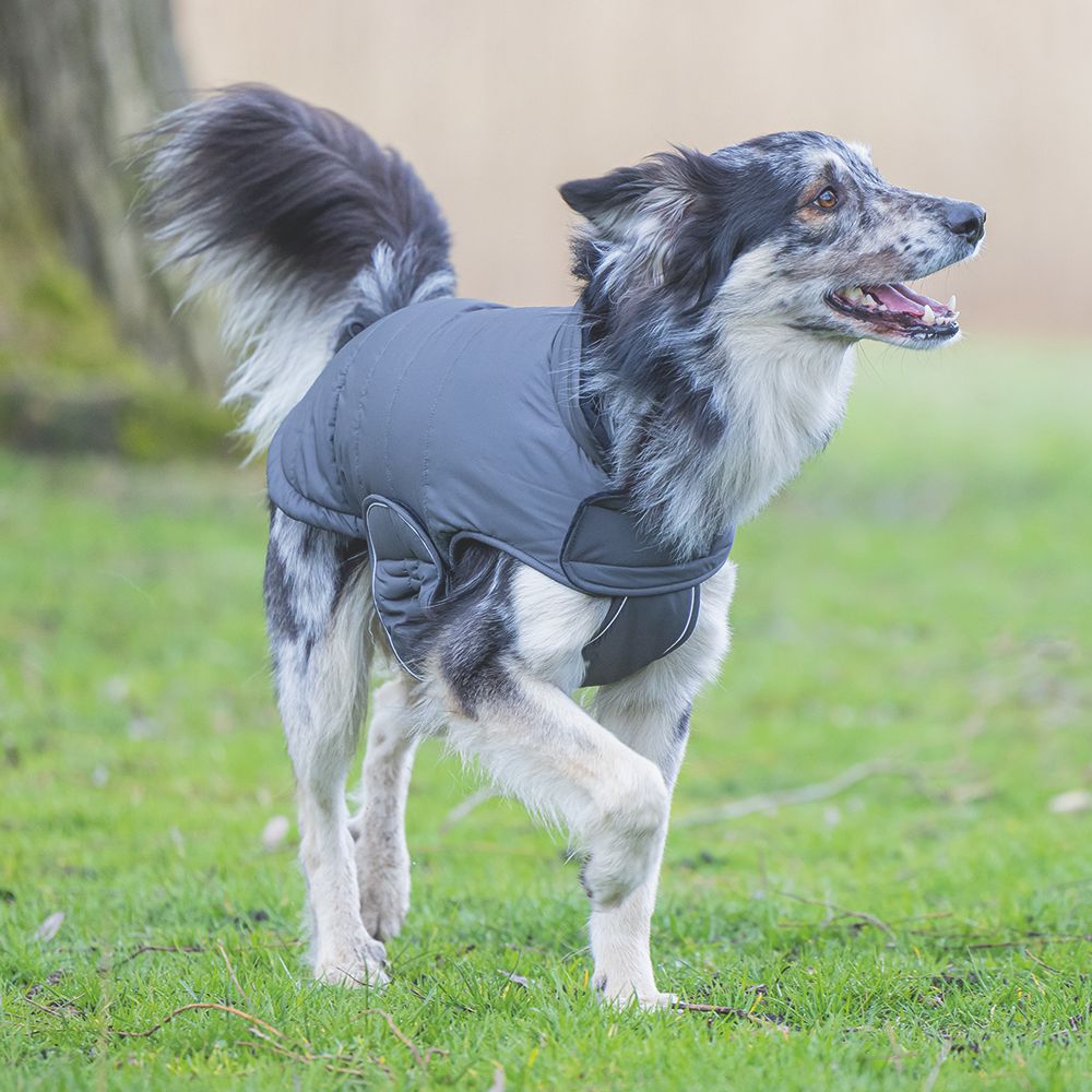 Designed by Lotte Hundemantel ZHANTI - grau Hundejacke Hundepullover Regenmantel