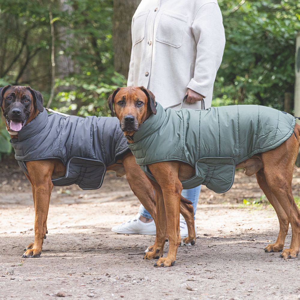 Designed by Lotte Hundemantel ZHANTI - grau Hundejacke Hundepullover Regenmantel
