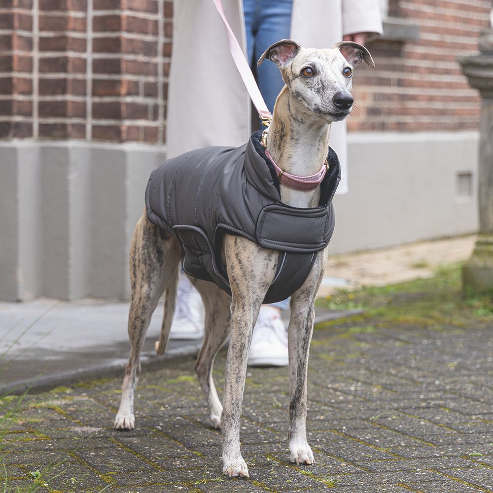 Designed by Lotte Hundemantel ZHANTI - grau Hundejacke Hundepullover Regenmantel