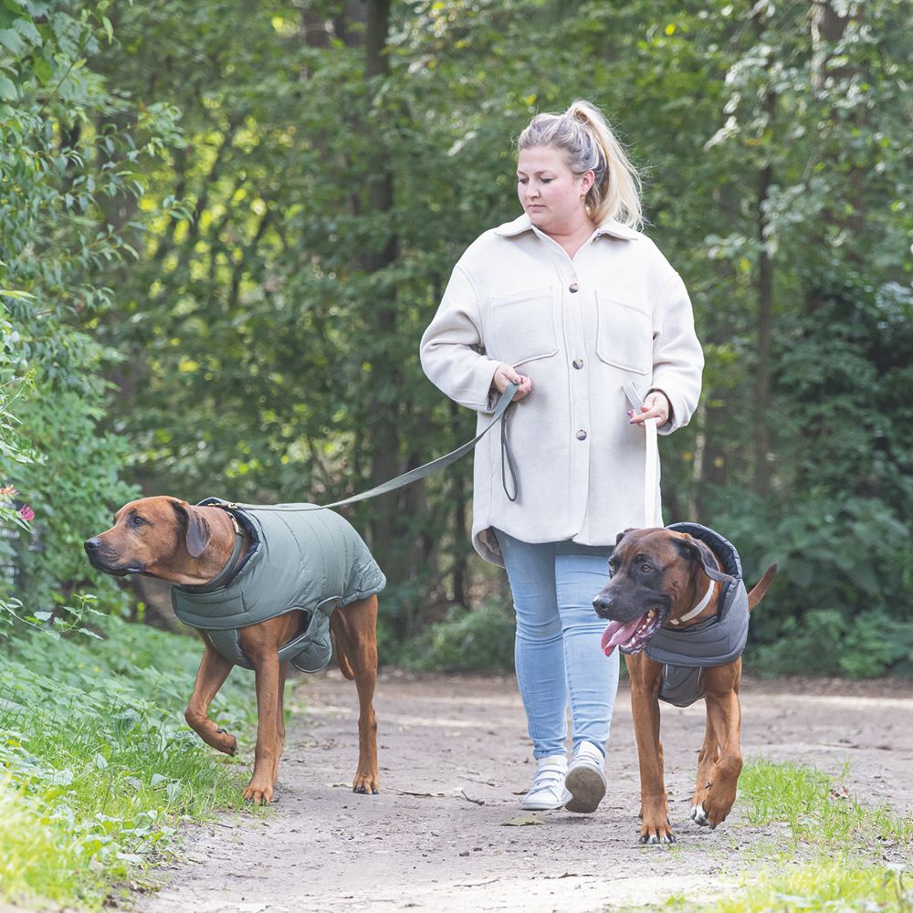 Designed by Lotte Hundemantel ZHANTI - grau Hundejacke Hundepullover Regenmantel