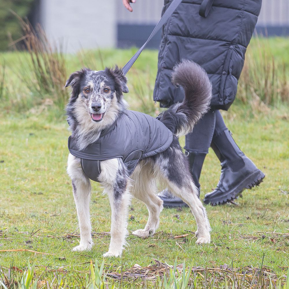 Designed by Lotte Hundemantel ZHANTI - grau Hundejacke Hundepullover Regenmantel