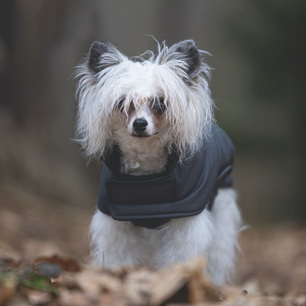 Designed by Lotte Hundemantel ZHANTI - grau Hundejacke Hundepullover Regenmantel