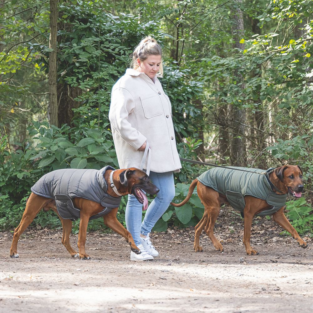 Designed by Lotte Hundemantel ZHANTI - grau Hundejacke Hundepullover Regenmantel