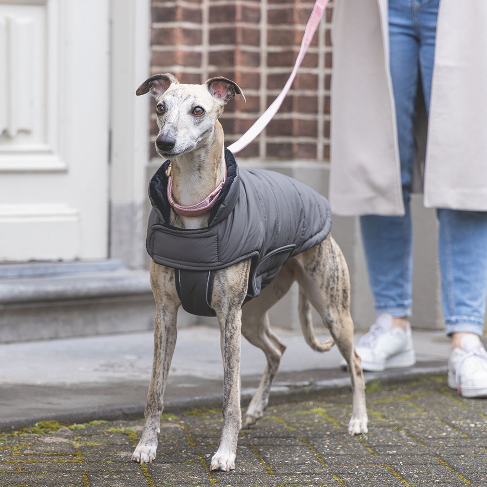 Designed by Lotte Hundemantel ZHANTI - grau Hundejacke Hundepullover Regenmantel