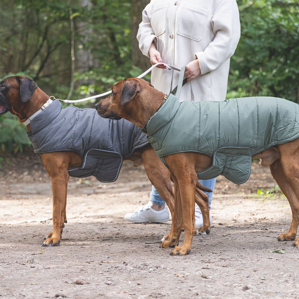 Designed by Lotte Hundemantel ZHANTI - grau Hundejacke Hundepullover Regenmantel