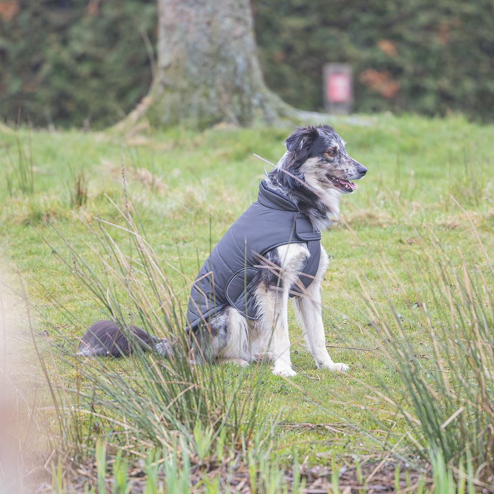 Designed by Lotte Hundemantel ZHANTI - grau Hundejacke Hundepullover Regenmantel