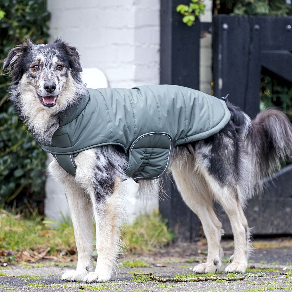 Designed by Lotte Hundemantel ZHANTI - grün Hundejacke Hundepullover Regenmantel