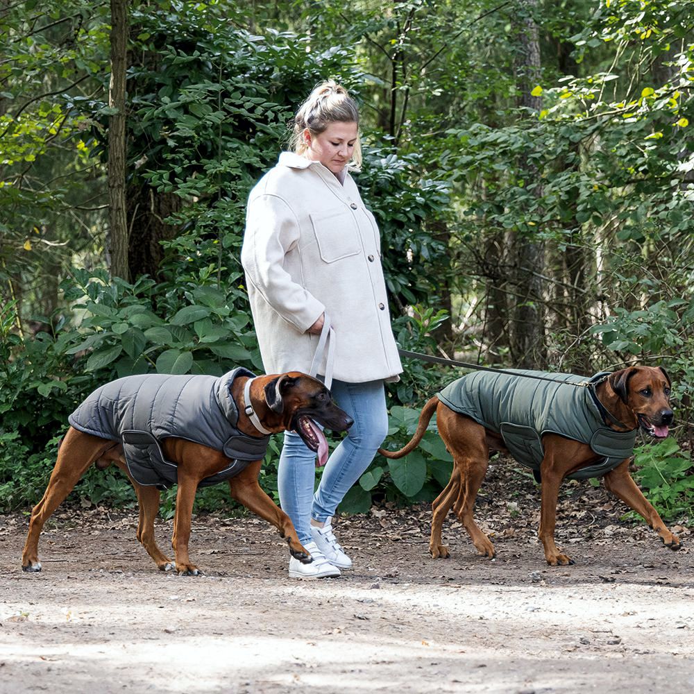 Designed by Lotte Hundemantel ZHANTI - grün Hundejacke Hundepullover Regenmantel