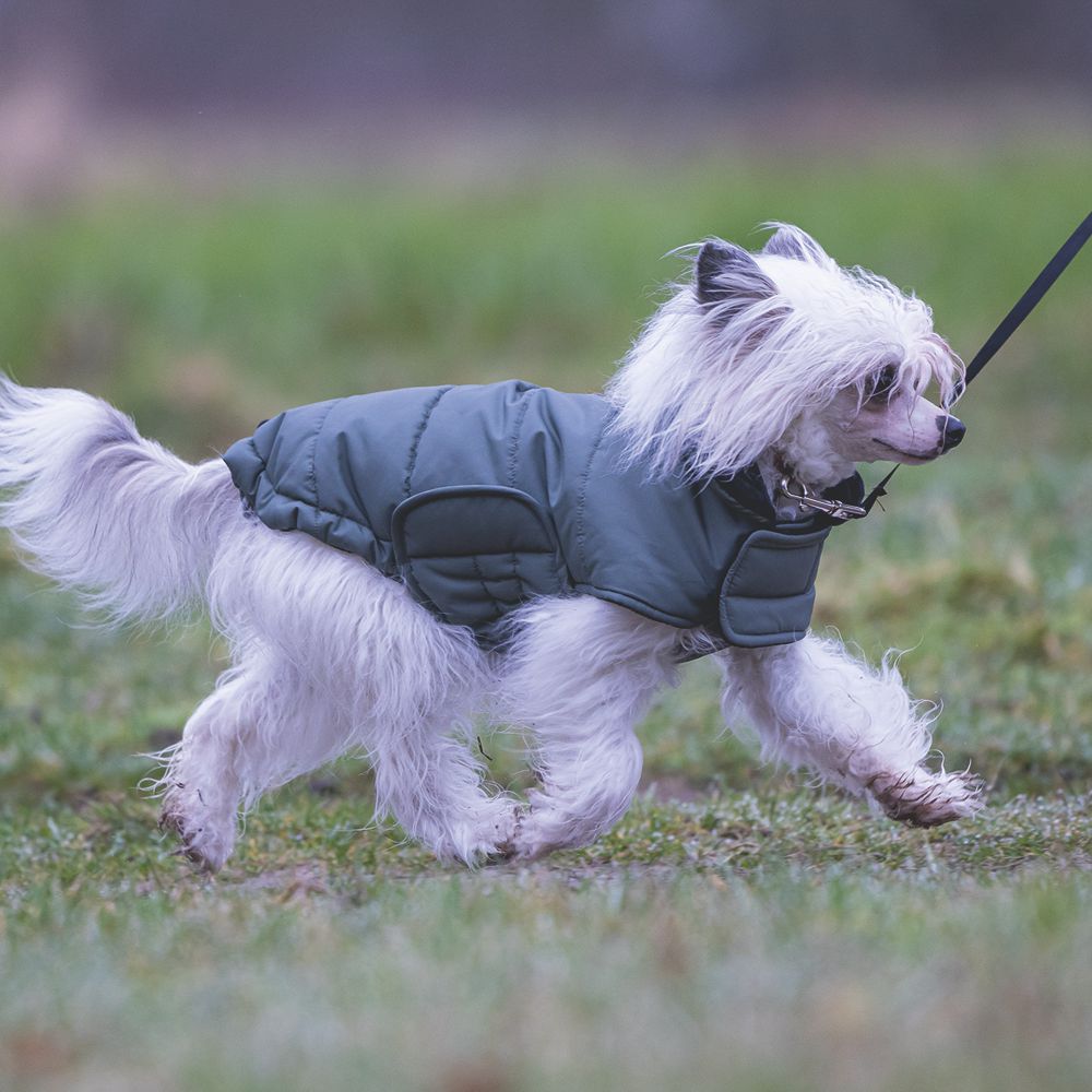 Designed by Lotte Hundemantel ZHANTI - grün Hundejacke Hundepullover Regenmantel