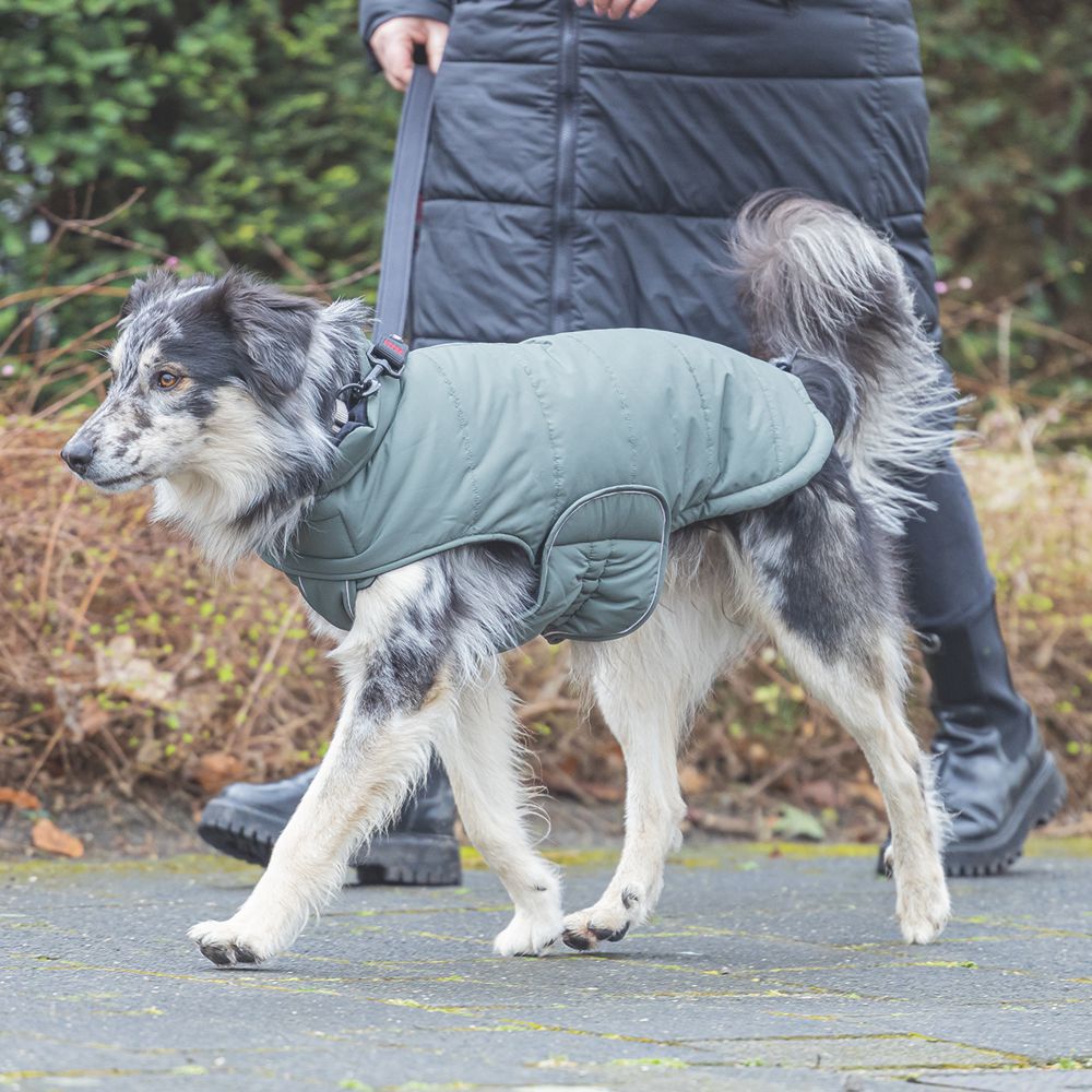 Designed by Lotte Hundemantel ZHANTI - grün Hundejacke Hundepullover Regenmantel