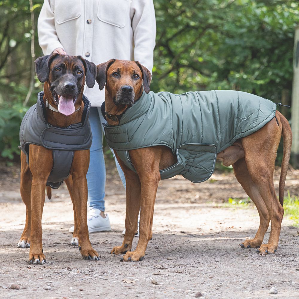 Designed by Lotte Hundemantel ZHANTI - grün Hundejacke Hundepullover Regenmantel
