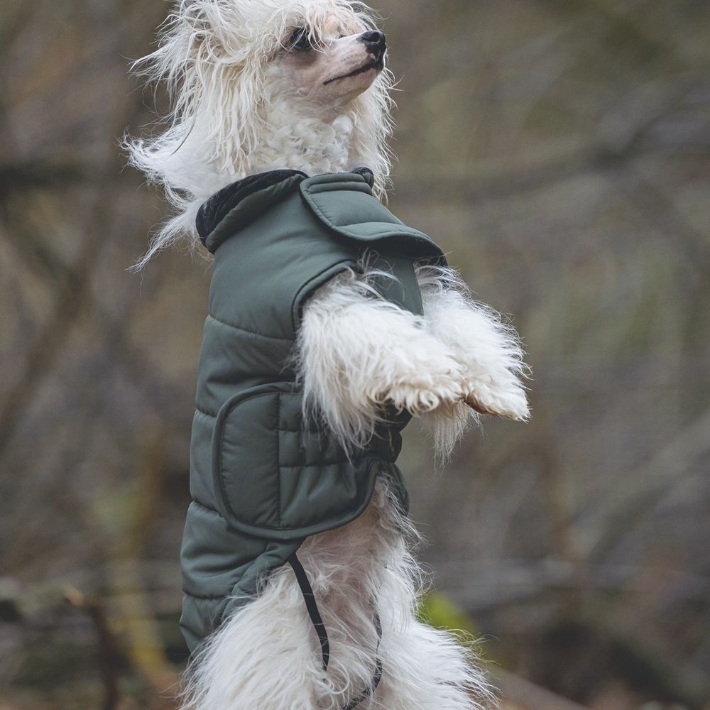 Designed by Lotte Hundemantel ZHANTI - grün Hundejacke Hundepullover Regenmantel