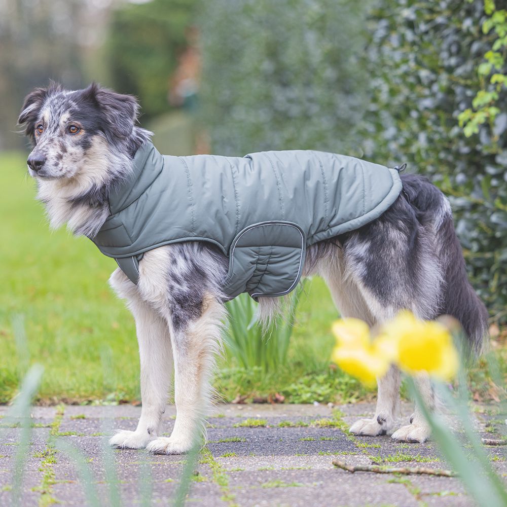 Designed by Lotte Hundemantel ZHANTI - grün Hundejacke Hundepullover Regenmantel