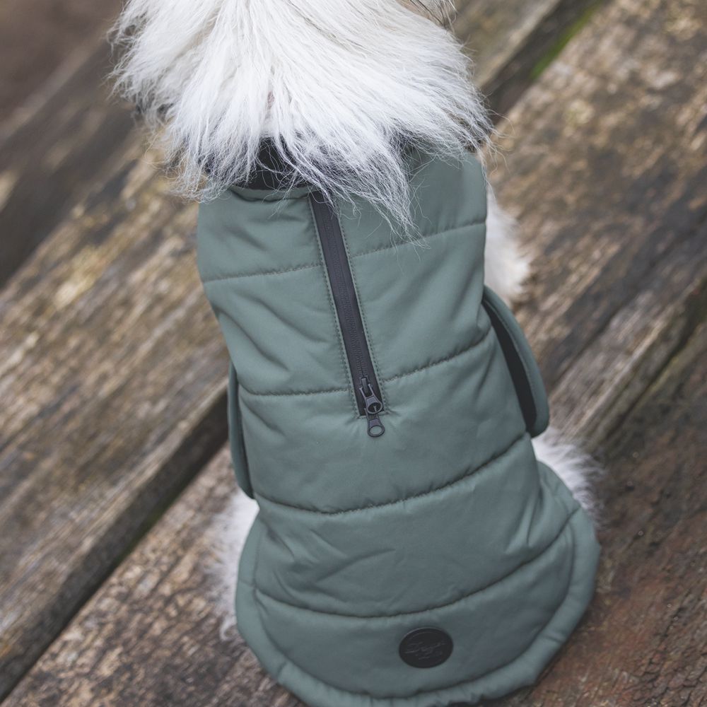 Designed by Lotte Hundemantel ZHANTI - grün Hundejacke Hundepullover Regenmantel