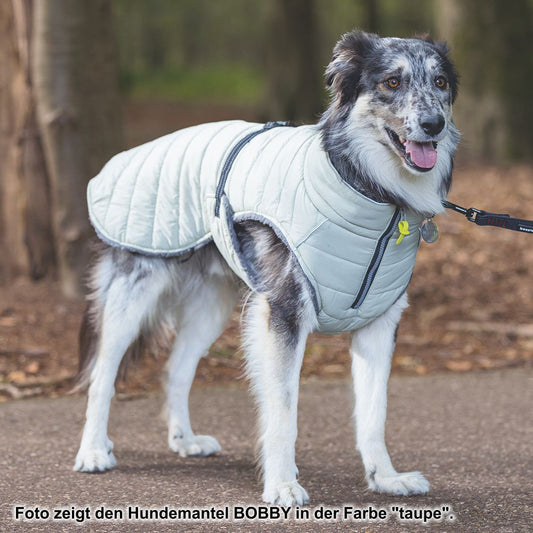 Beeztees Hundemantel BOBBY - grau - Hundejacke Hundepullover Regenmantel