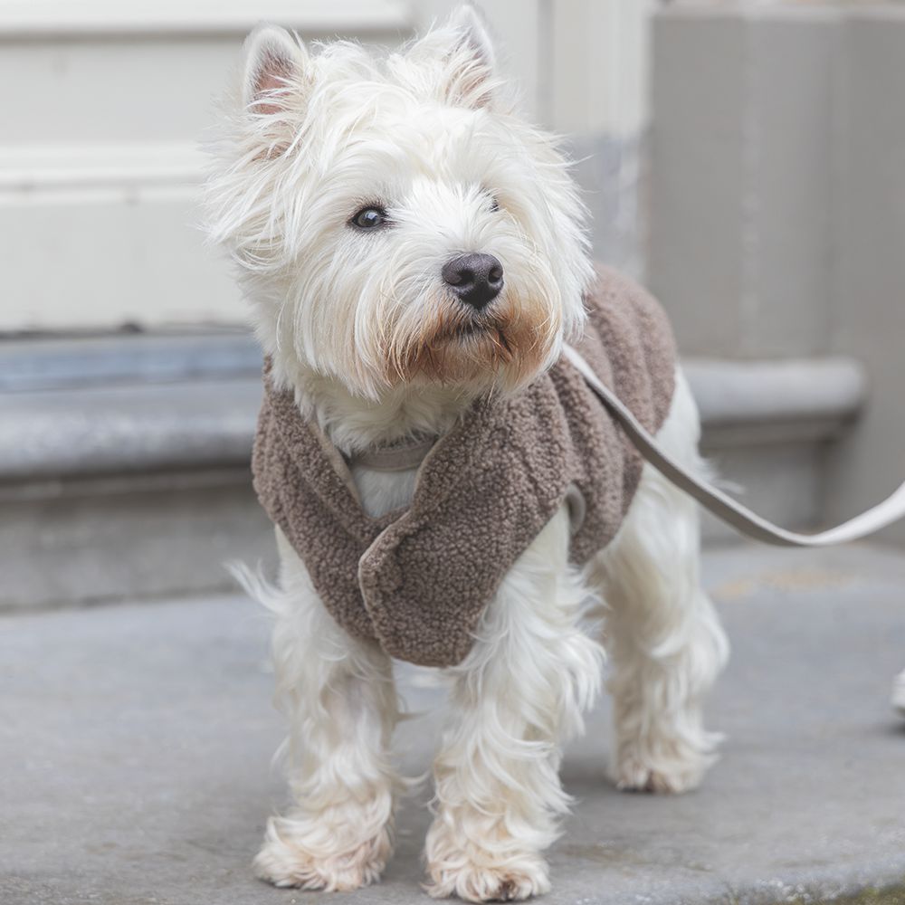 Designed by Lotte Hundepullover MADELEINE - taupe Hundejacke Hundemantel Sweater