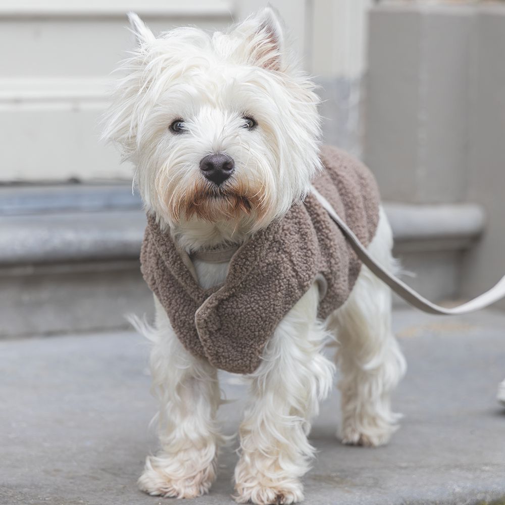 Designed by Lotte Hundepullover MADELEINE - taupe Hundejacke Hundemantel Sweater