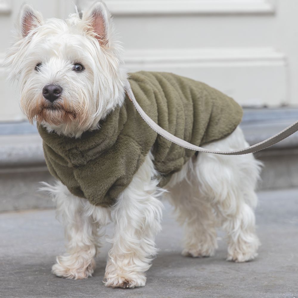 Designed by Lotte Hundemantel VICTORIA - grün - Hundejacke Hundepullover