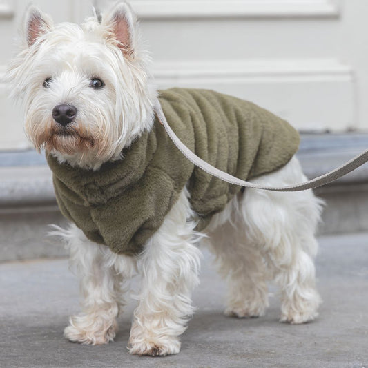 Designed by Lotte Hundemantel VICTORIA - grün - Hundejacke Hundepullover