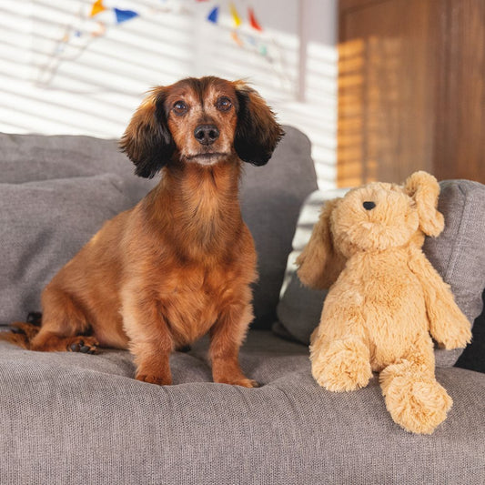 Beeztees Plüsch-Hundespielzeug - 40 cm - Kuscheltier Plüschtier ohne Squeaker