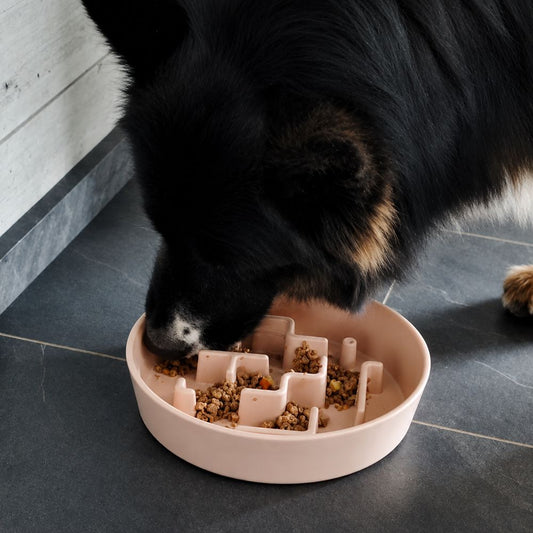 Beeztees Anti-Schling-Napf - 3 Größen - Fressnapf Futternapf für Hunde/Katzen