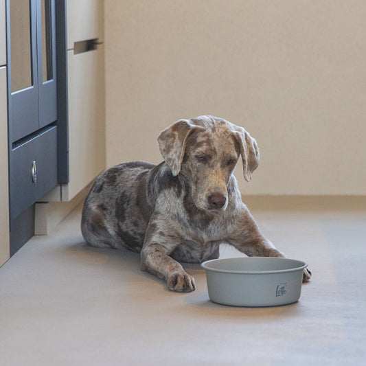 Designed by Lotte Hundenapf FERIBO - Edelstahl hellgrau Futternapf Wassernapf