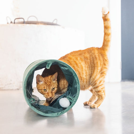 Designed by Lotte Katzentunnel CYLLA - 25 x 65 cm - Samt - Spielspaß für Katzen