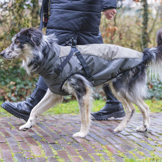 Beeztees Hundemantel MILO - grau - mit Geschirr - Hundejacke Regenmantel