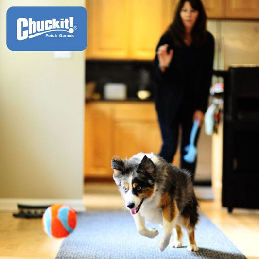 Chuckit! Indoor Ball - Apportierspielzeug für drinnen - Wurfspiel Hundespiel