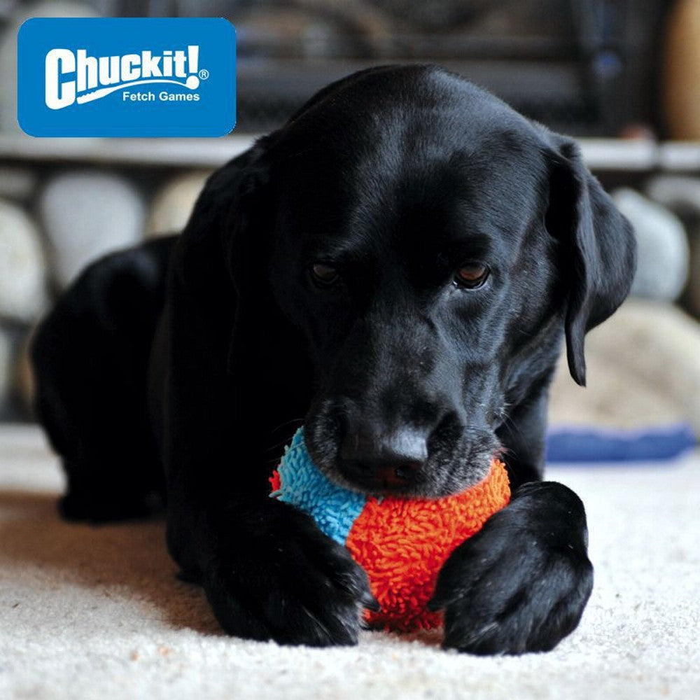 Chuckit! Indoor Shaker - Apportierspielzeug für drinnen - Wurfspiel Ball Hund