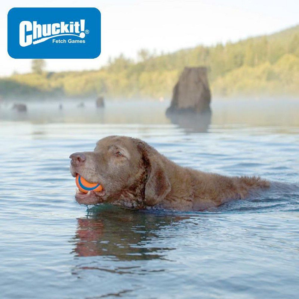 Chuckit! Bucket - 8x Ultra Ball inkl. Eimer - Apportierspielzeug Hundespielzeug