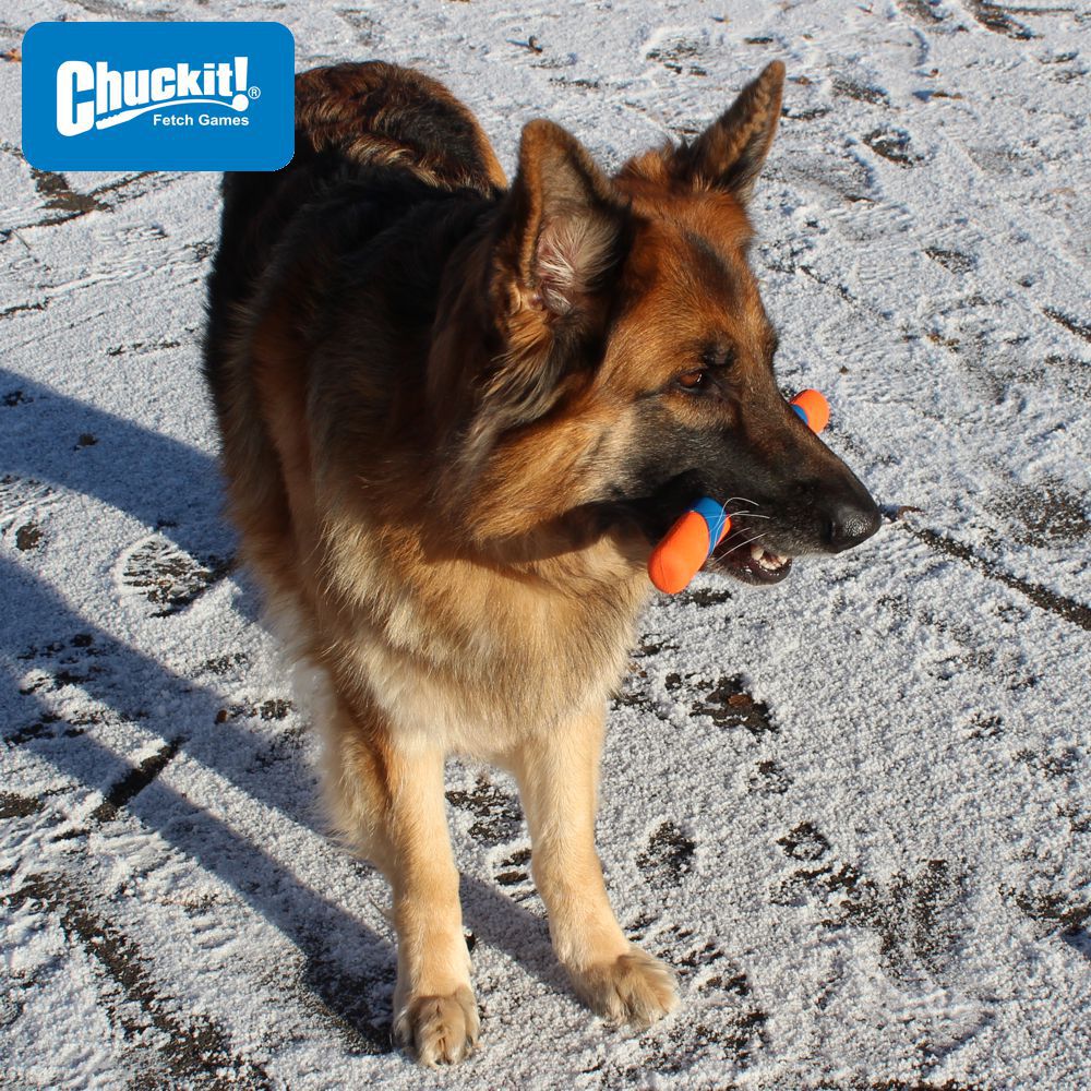 Chuckit! Ultra Fetch Stick - Apportierspiel Hundespielzeug Stöckchen Wurfspiel