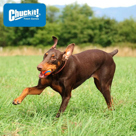 Chuckit! Ultra Ball - Apportierspielzeug Hundespielzeug - springt gut & schwimmt