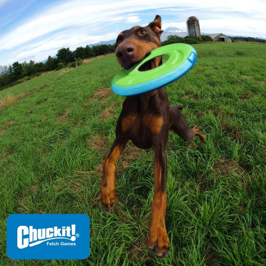 Chuckit! Zipflight - Apportierspielzeug Hundespielzeug Frisbee Wurfscheibe Flyer