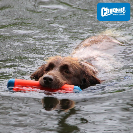 Chuckit! Amphibious Bumper - Apportierspielzeug Hundespielzeug Wasserspielzeug