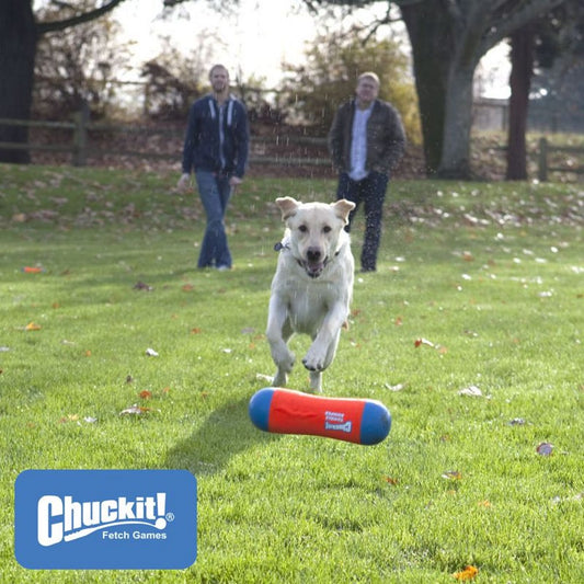 Chuckit! Tumble Bumper - Apportierspielzeug Hundespielzeug Wasserspielzeug