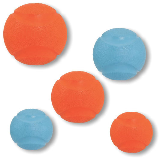 Chuckit! Fetch Ball - Apportierspielzeug Hundespielzeug sehr robust springt gut