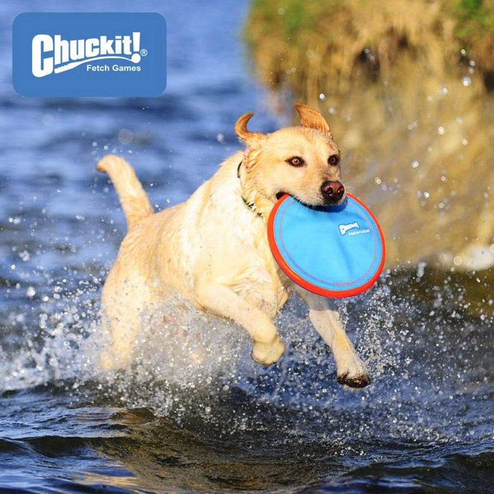 Chuckit! Paraflight Apportierspielzeug Hundespielzeug Frisbee Wurfscheibe Flyer