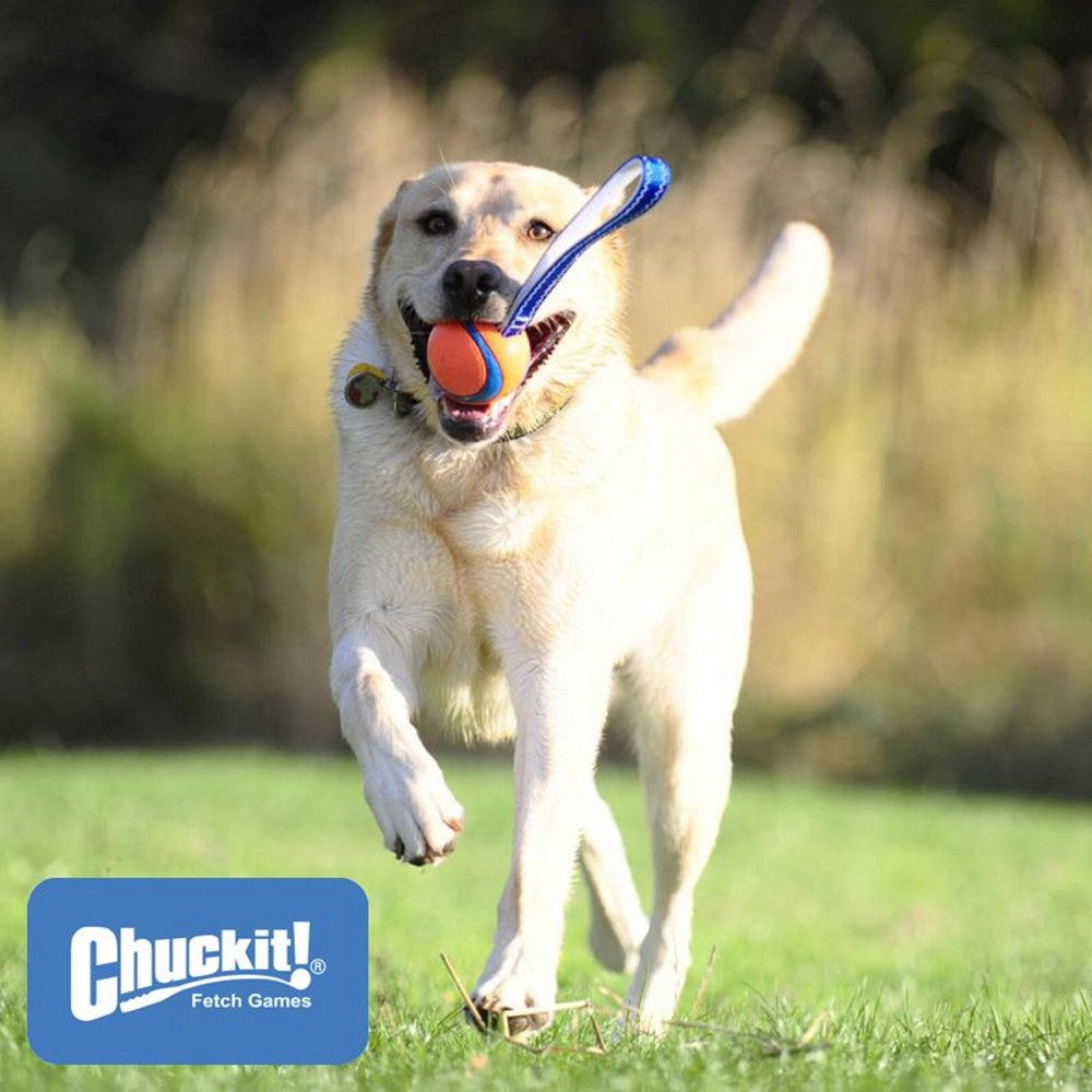 Chuckit! Ultra Tug - Ball mit Wurfschlaufe - Apportierspielzeug Zerrspielzeug