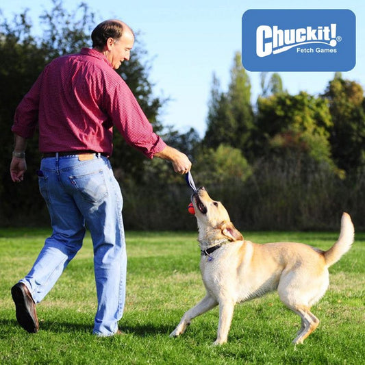 Chuckit! Ultra Duo Tug - 2 Bälle mit Schlaufe - Apportierspielzeug Zerrspielzeug